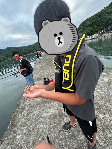 大矢野島