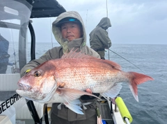 マダイの釣果