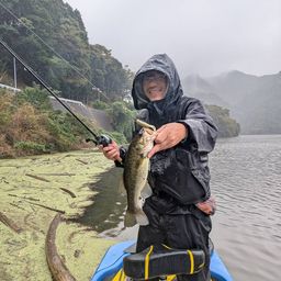 ブラックバス