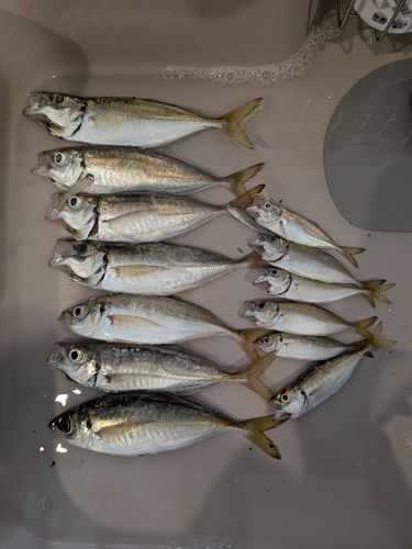 那珂湊港