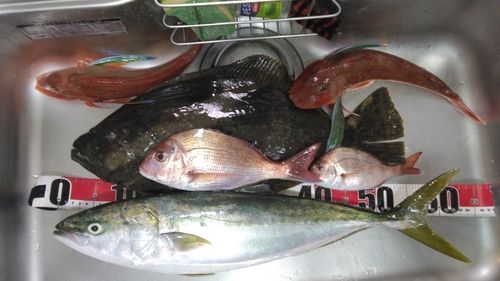 いわき沖