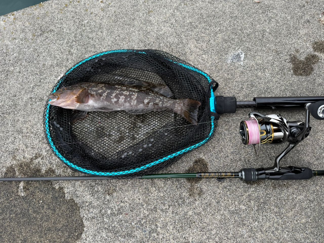 Megabass 20礁楽 SL-75MLSの最安値・インプレ・釣果 | 本音の口コミが