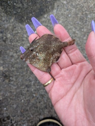 小名浜港アクアマリンふくしま周辺