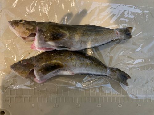 石狩湾新港