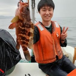 キジハタ