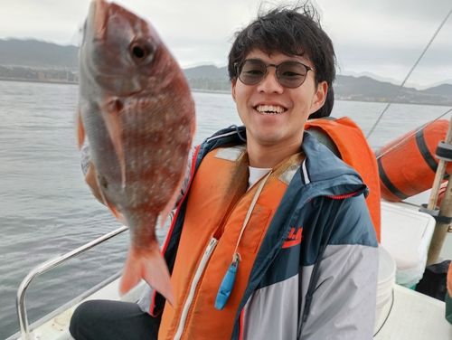 マダイの釣果