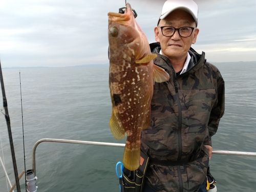 キジハタの釣果