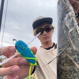 マナマズ
