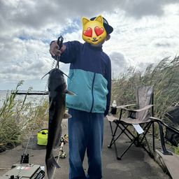 アメリカナマズ