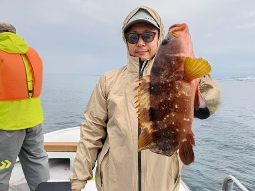 キジハタの釣果