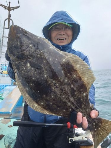 ヒラメの釣果