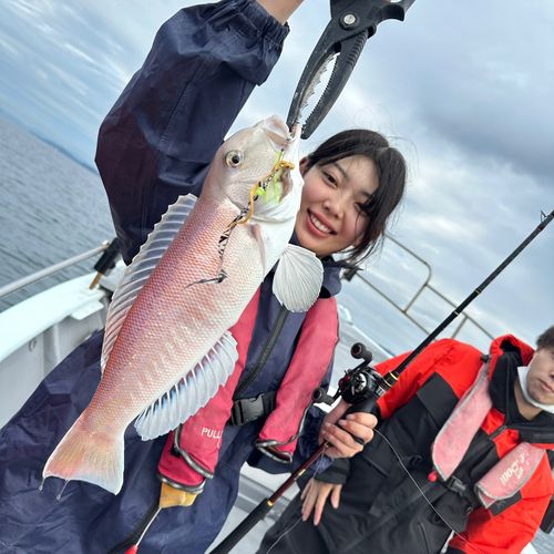 シロアマダイの釣果