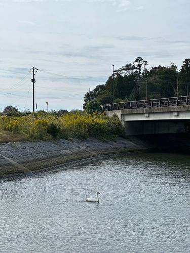 宮戸島