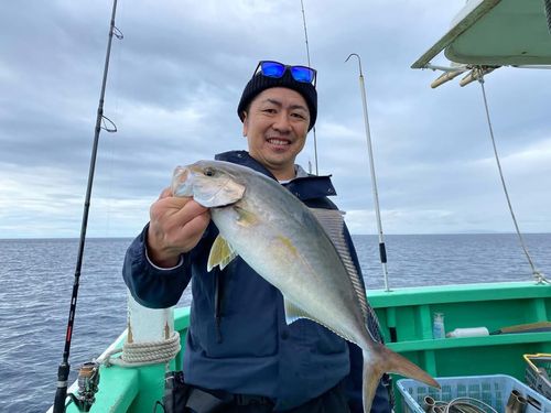 ショゴの釣果