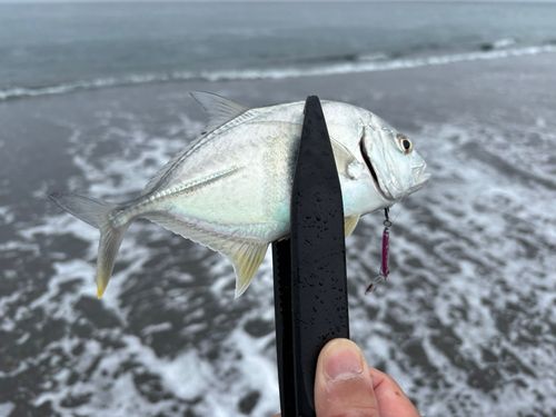 柳島海岸