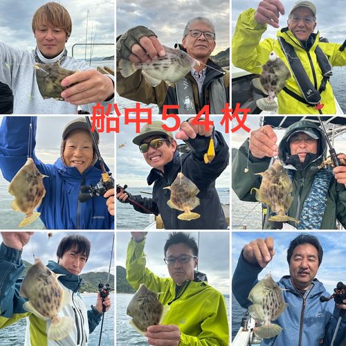 カワハギの釣果