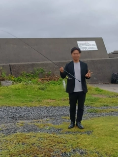 ヘダイの釣果