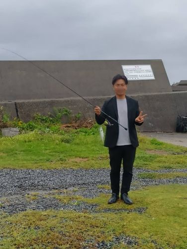 ヘダイの釣果