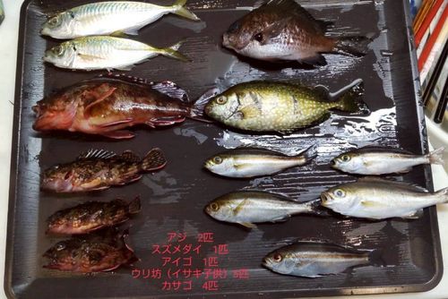 金沢水際線緑地（福浦岸壁）