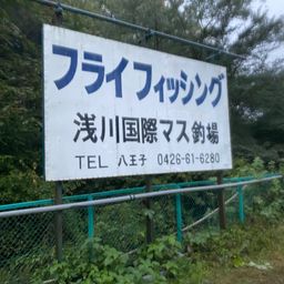 レインボートラウト