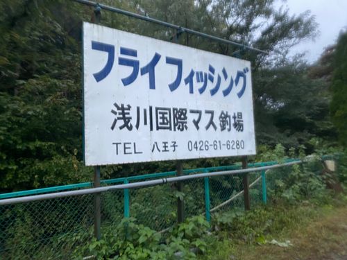 レインボートラウトの釣果