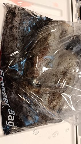 響灘
