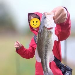 ブラックバス