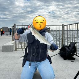 釣り人アングラー 限界アングラー125 さんの釣り人プロフィール - アングラーズ | 釣果