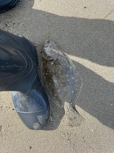 釜谷浜海水浴場