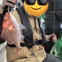 マダイ