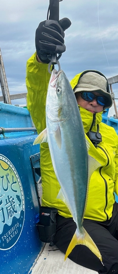 カンパチの釣果