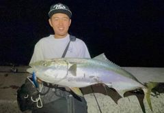 アラカブの釣果