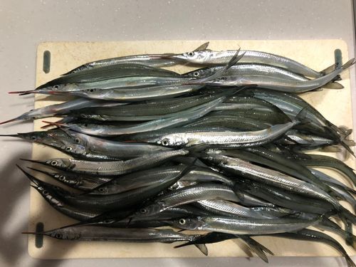 南芦屋浜ベランダ
