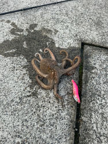 久之浜港
