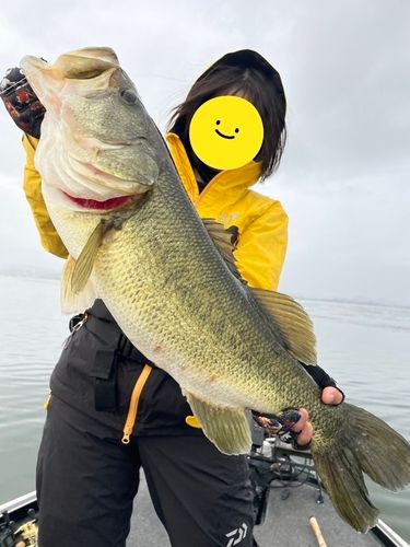 琵琶湖南湖
