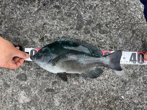 宿毛湾