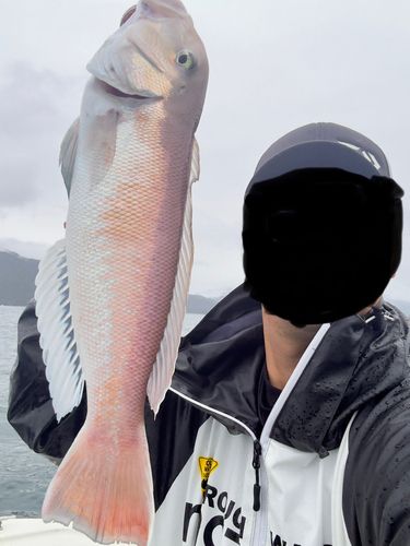 尾鷲湾