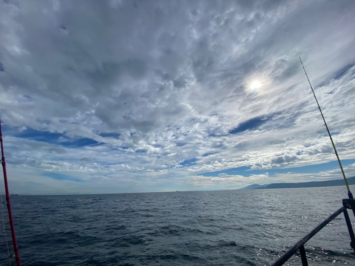 kuni11さんの釣果 3枚目の画像