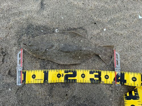 新舞子海岸(いわき)