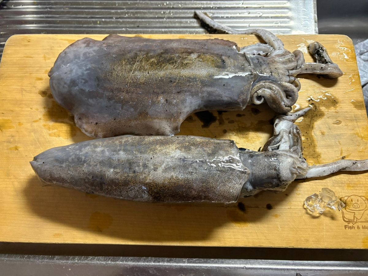 ちび武さんの釣果 2枚目の画像