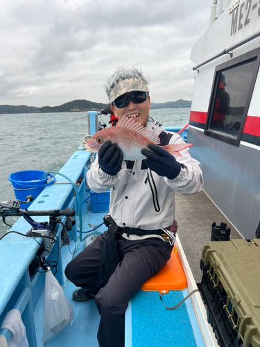 マダイの釣果