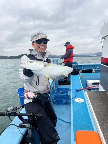 ワラサの釣果