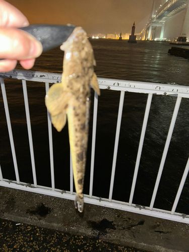 大黒ふ頭西緑地