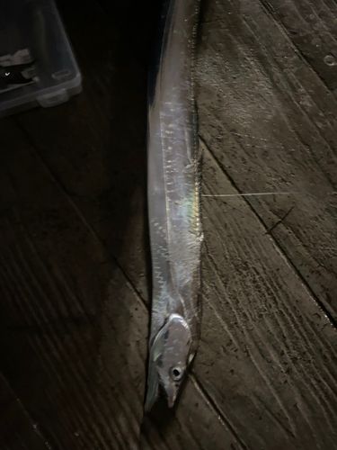 海辺つり公園
