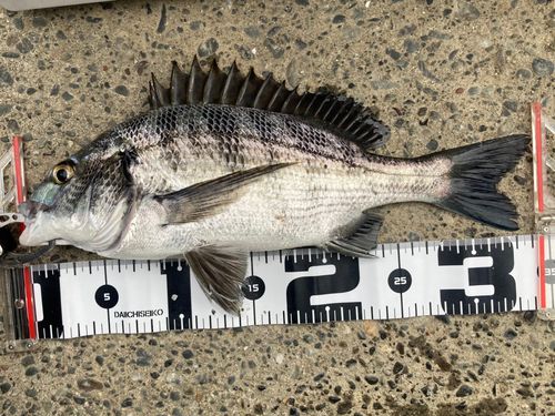 表浜名湖