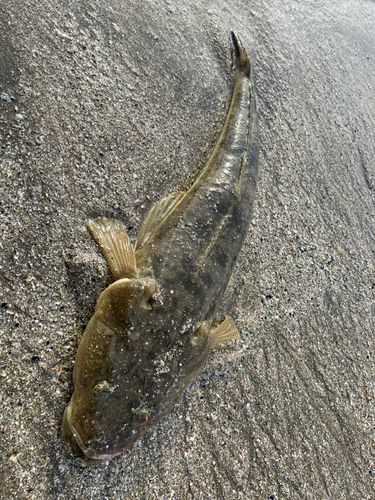 男鹿半島