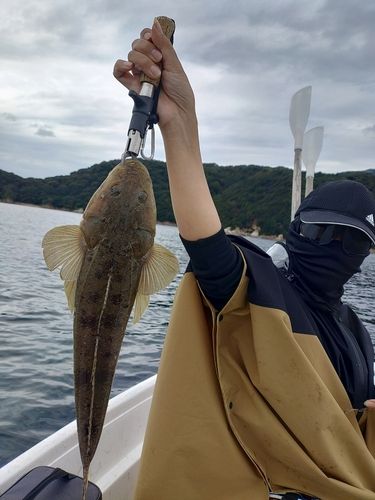 敦賀湾