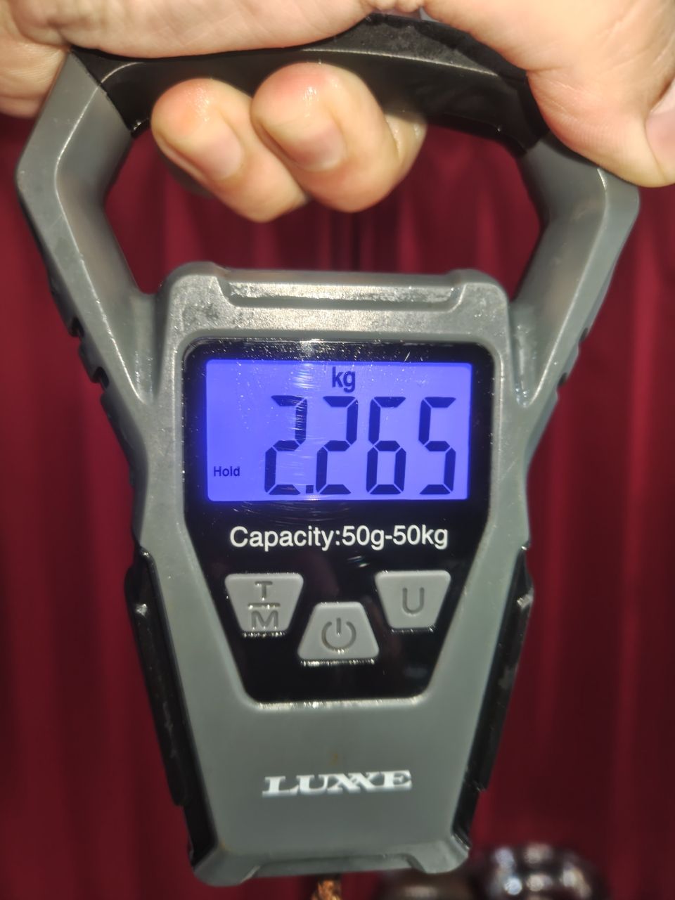 K.a.z.u.さんの釣果 3枚目の画像