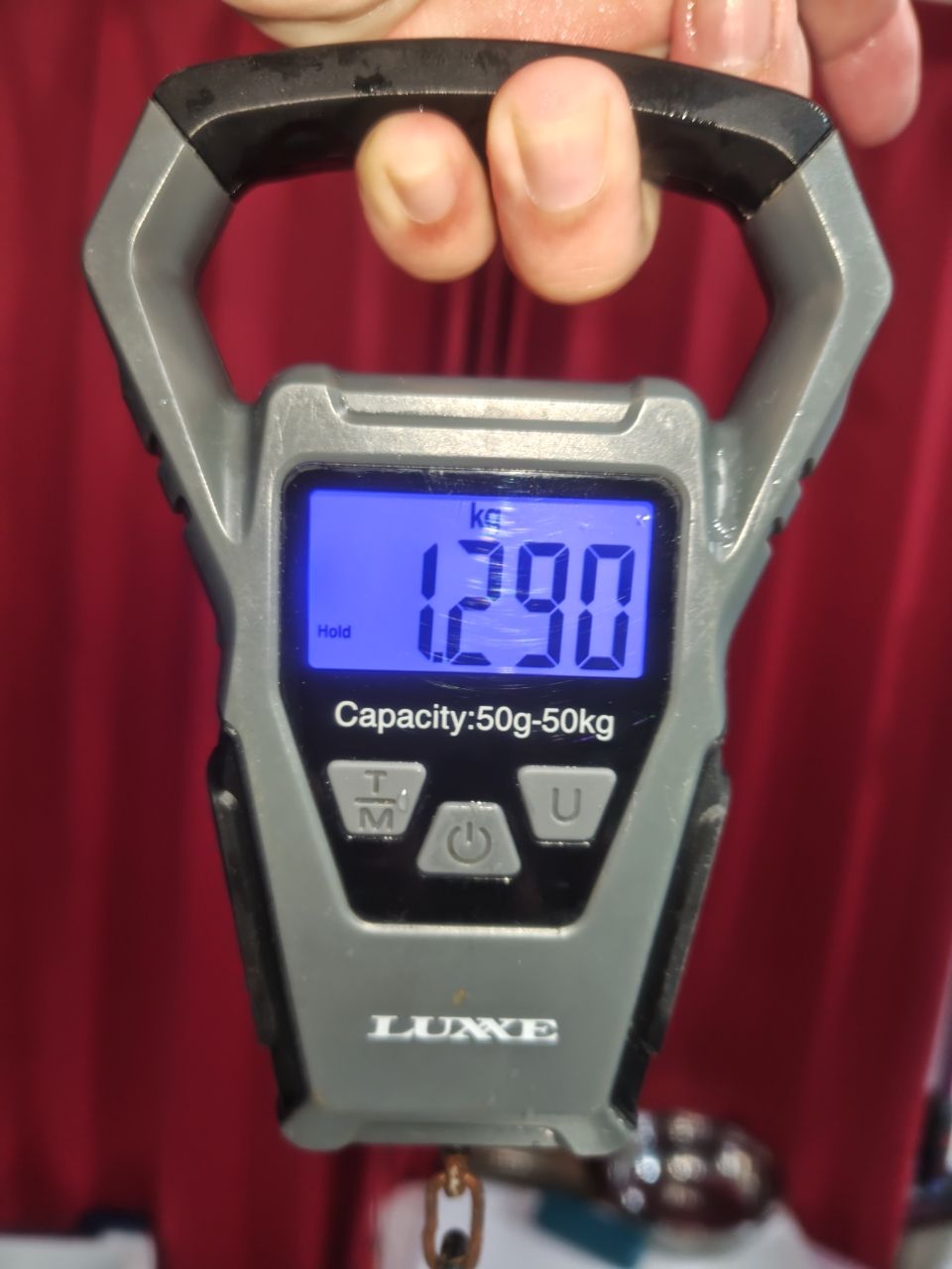 K.a.z.u.さんの釣果 3枚目の画像