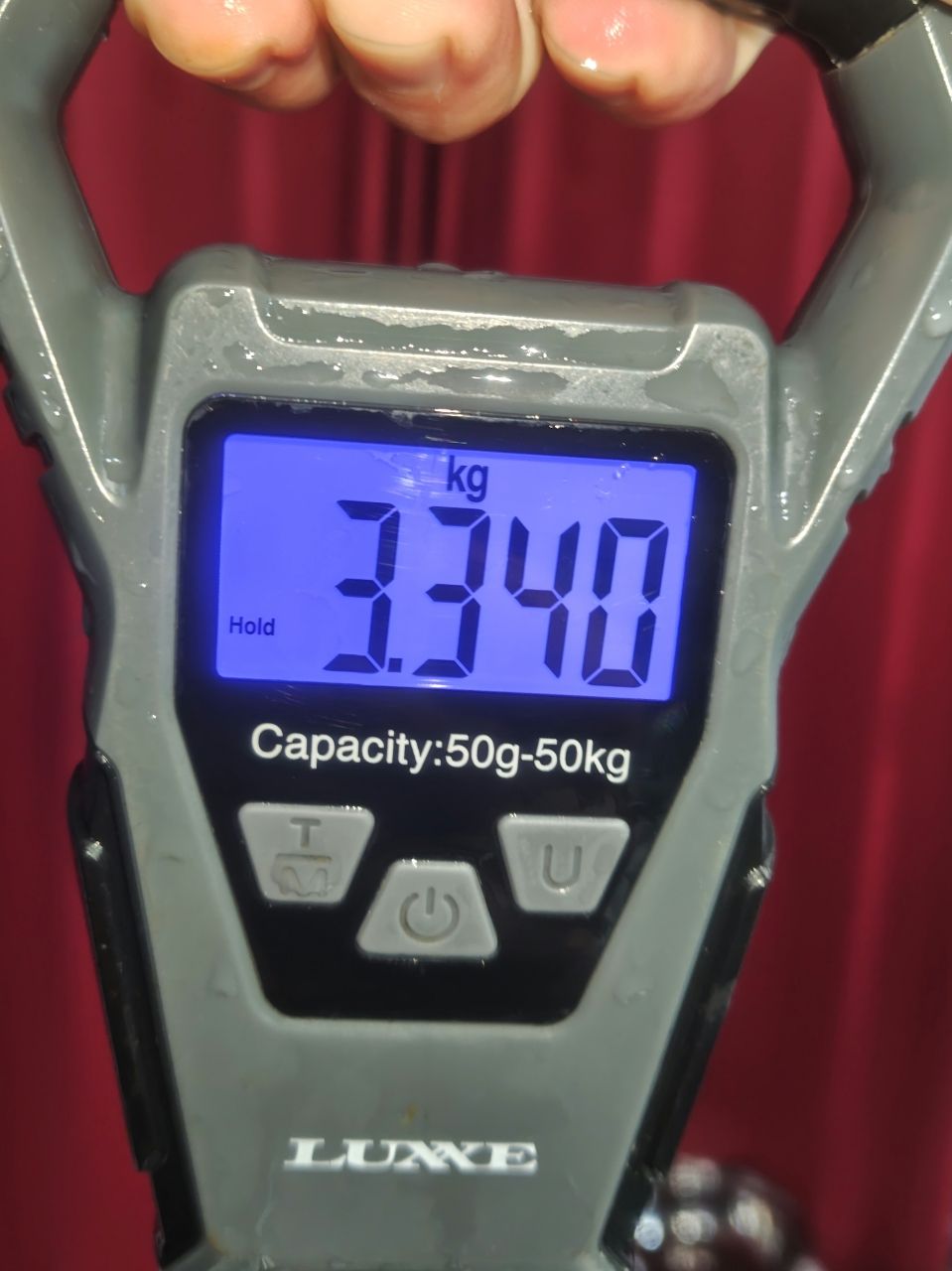 K.a.z.u.さんの釣果 3枚目の画像